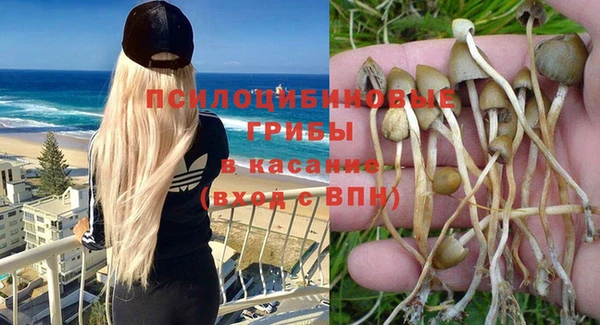 мдма Богородицк