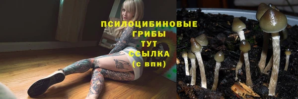 mdma Богданович