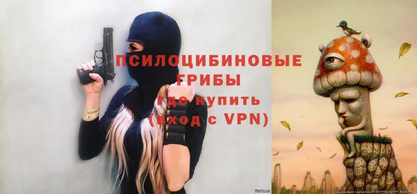 jwh Богородск