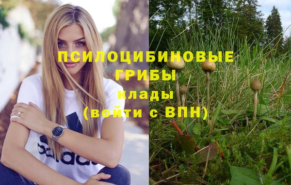 jwh Богородск