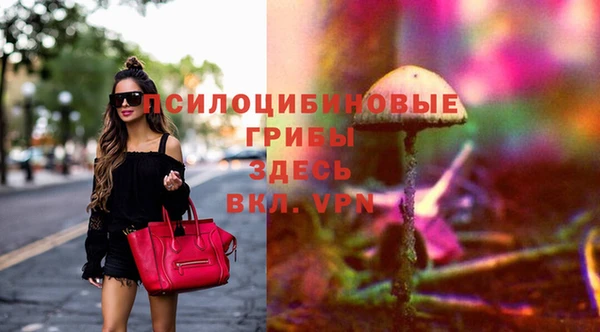 мдма Богородицк
